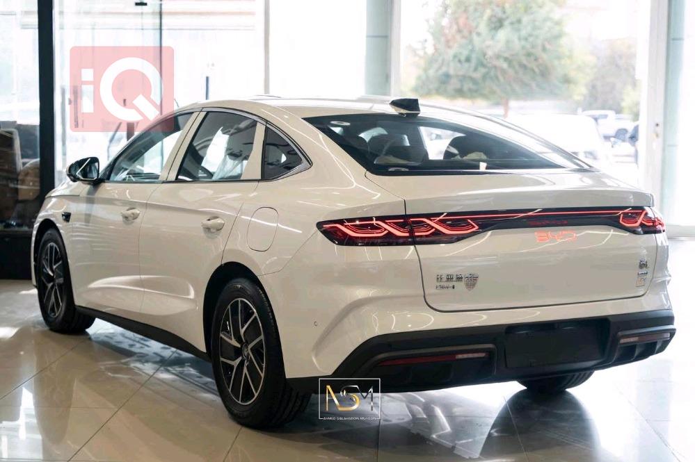 بي واي دي كوين L DM-i